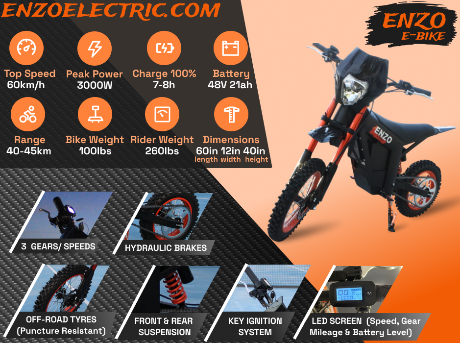 Enzo Flyer Back